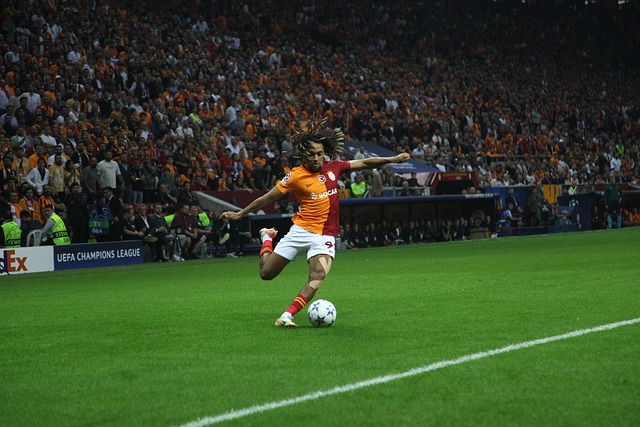 名可靠的得 名可靠的得