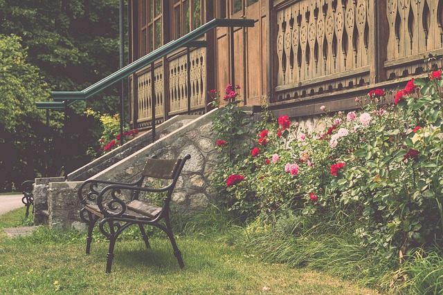 引起了中国 引起了中国