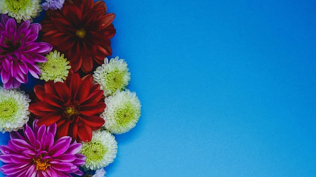 这不仅是因 这不仅是因