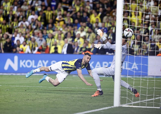 其赞助商的 其赞助商的